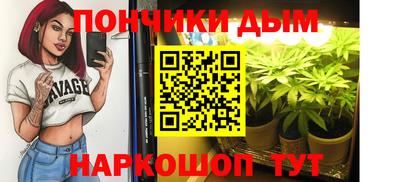 дмт Можга